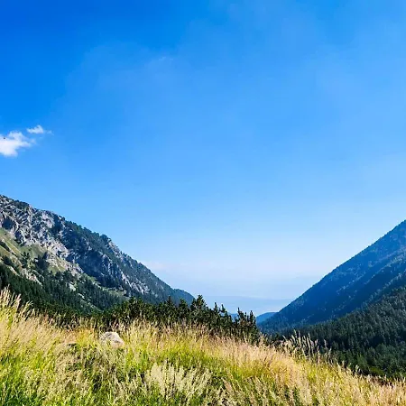 Apartmanica Double 101-12, With Ac, Big Terrace, St Ivan Rilski 4 Star Resort, Апартамент *