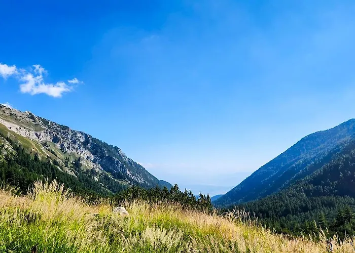 Apartmanica Double 101-12, With Ac, Big Terrace, St Ivan Rilski 4 Star Resort, Διαμέρισμα *